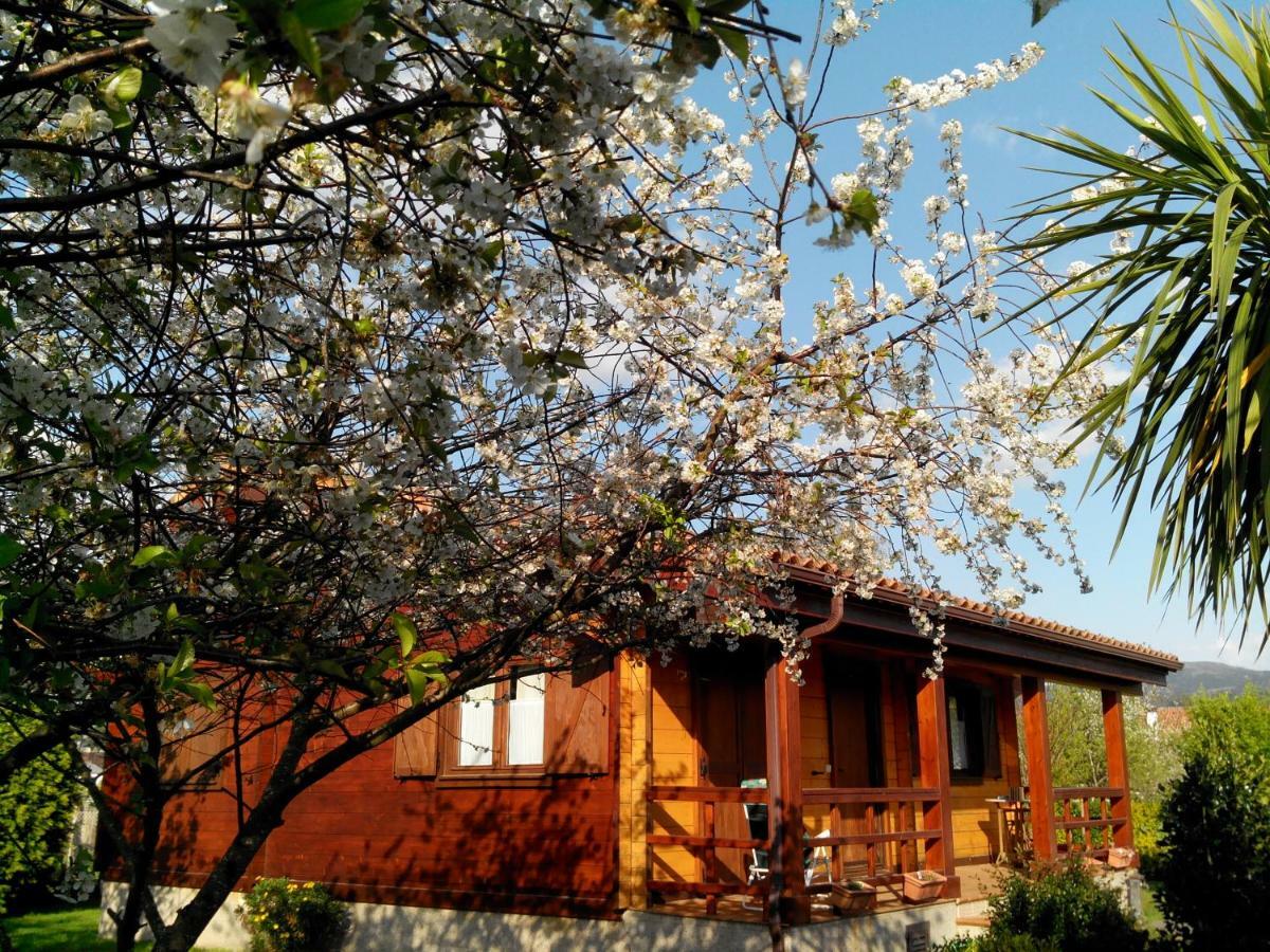 Ribadumia Mi Cabanaヴィラ エクステリア 写真